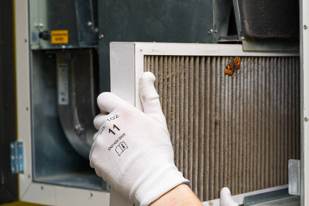 Best Emergency Air Duct Cleaning  in Westmont, CA