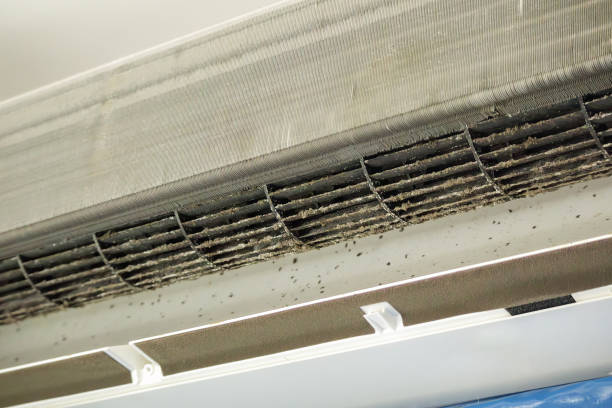 Best Air Duct Cleaning Near Me  in Westmont, CA