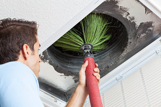 Best Affordable Air Duct Cleaning  in Westmont, CA